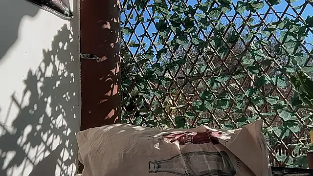 Онлайн чат XXX karo123421