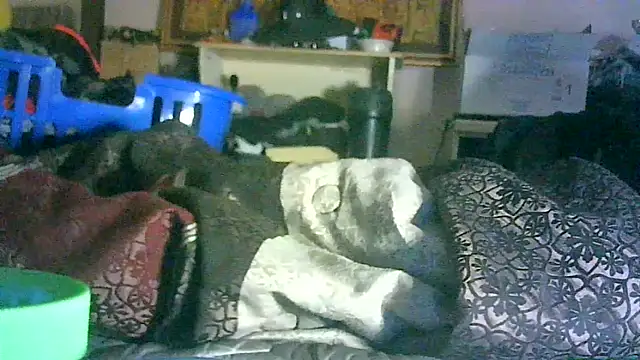 GUAPAN3S3_FIR3 Live XXX-chat