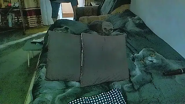 sex2 现场XXX聊天