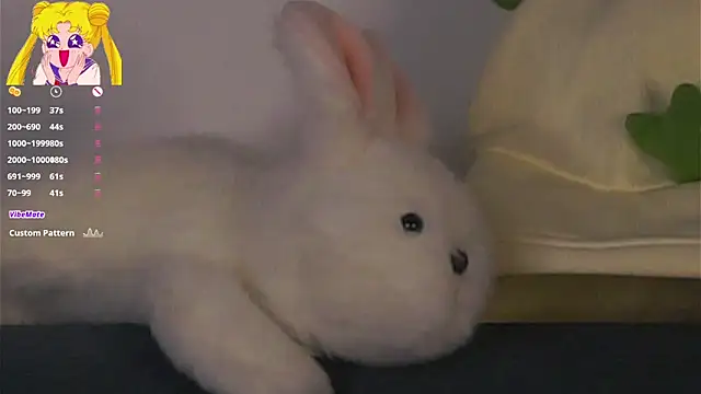 EdlinHargusn Webbikameraesitys