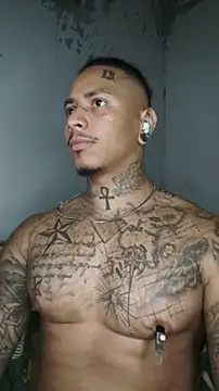 David_tatto1's Live XXX Chat