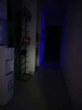 Miia__Taylor's Live XXX Chat