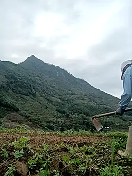 kaia-cam Adlı Modelin Canlı XXX Sohbeti