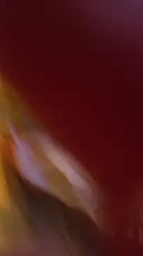 Chatroom XXX en direct de Riverict0r