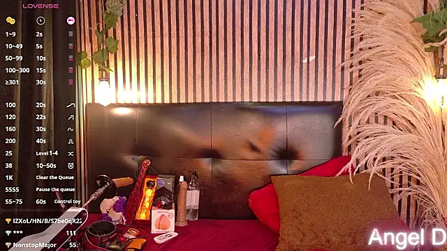 Angeldust19 – Kamerová šou