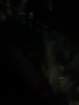 RinaCat – Naživo XXX chat