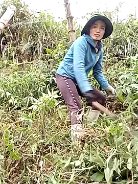 ngan-cute Live XXX Chat