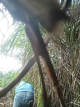 nangmo 现场XXX聊天