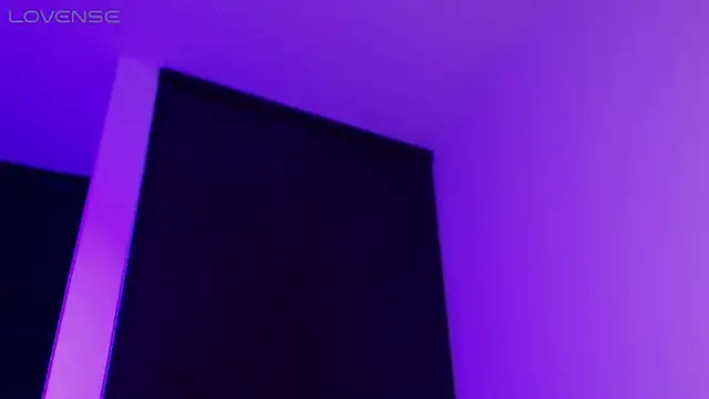 BjornSteelのウェブカメラショー