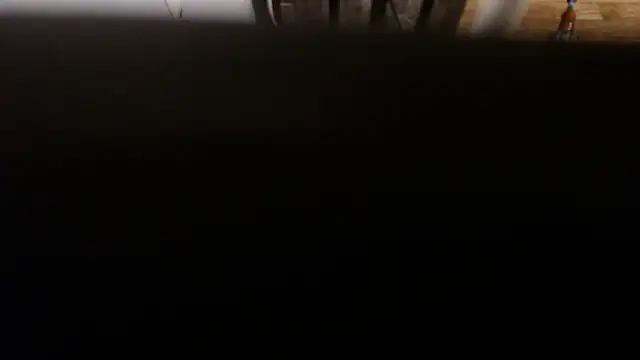 flexingplexico: διαδικτυακό σόου στην κάμερα