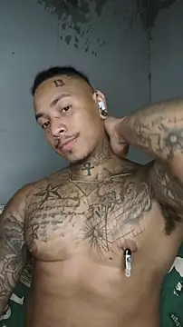 Chat XXX ao vivo de David_tatto1
