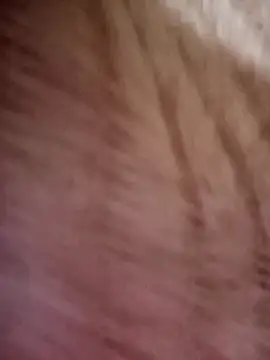 nolan-00 现场XXX聊天