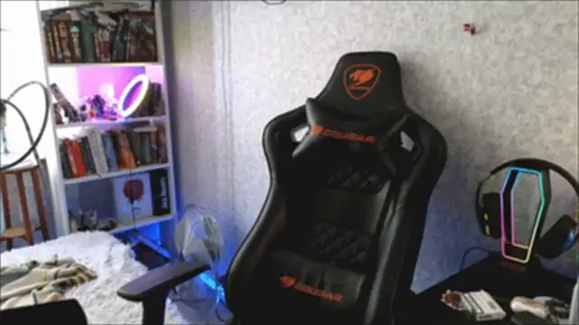 _Mostly_ Show Webcam