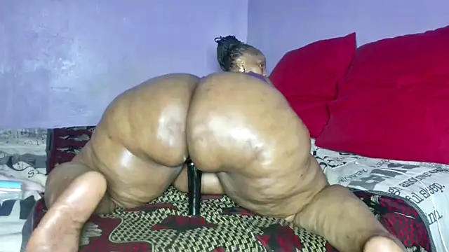 wilmaassylum Chat XXX live