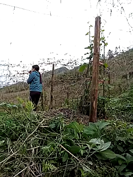 Sembang XXX Secara Langsung ngan-cute