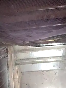 Reina_Fcup01 라이브 XXX 채팅