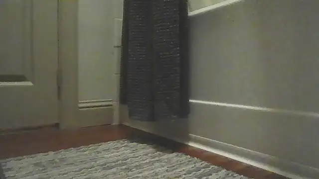 Pertunjukan Kamera Web whowantsacreampie