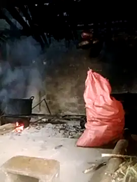 Wella-bae 即時 XXX 聊天