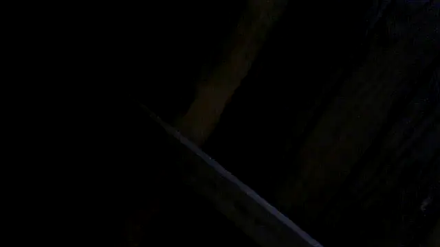 cumwith_me5380 – webcam-show