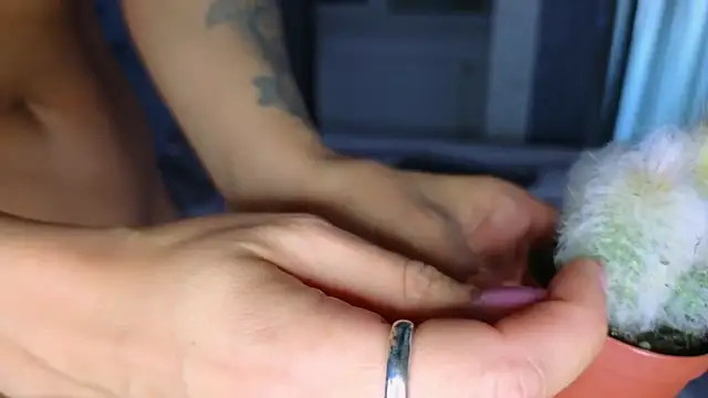 Theowonder 即時 XXX 聊天