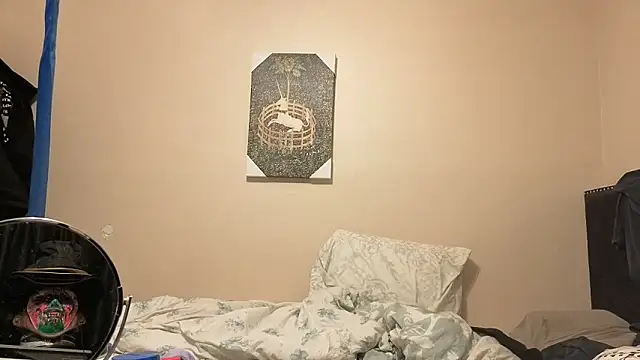 Show webcam de hailzeffn