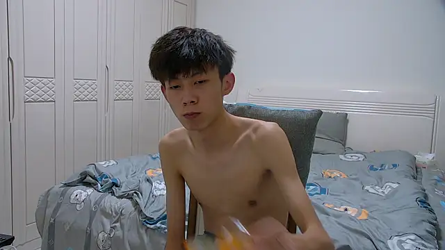 paofu-001n Webbikameraesitys