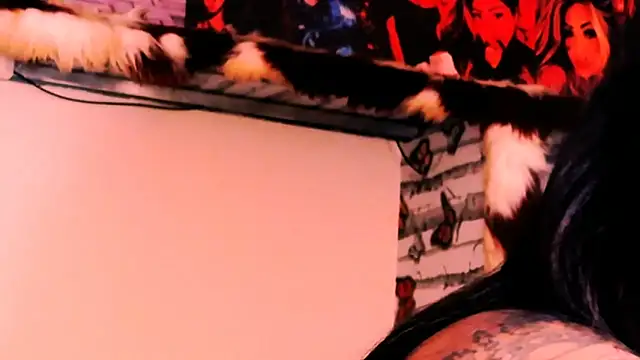 indian_dreamgirl's Live XXX Chat