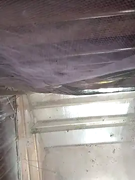 Reina_Fcup01 Live XXX-Chat