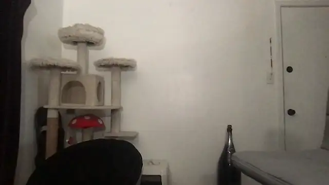 SexuallyExplicit Pertunjukan Webcam