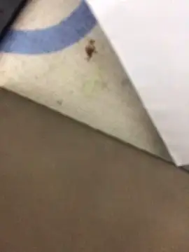 Živý XXX chat Rataofitness