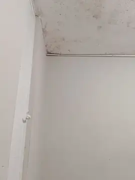 hacheshx Webcam show