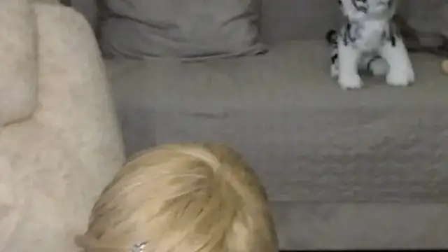 clementine 现场XXX聊天