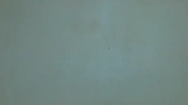 DiamondLuv29: απευθείας συνομιλία ΧΧΧ