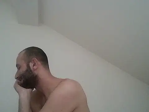 InferredPloce Show in webcam