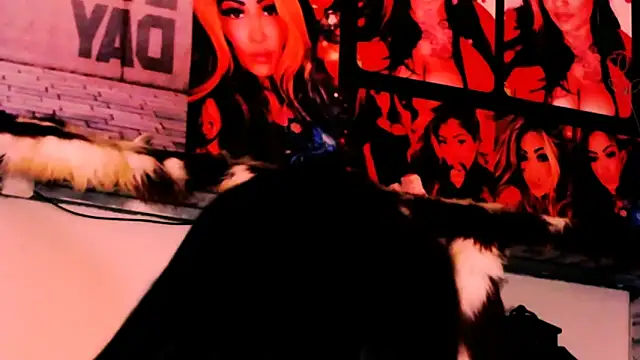 Онлайн чат XXX indian_dreamgirl