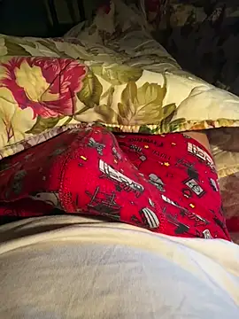 Bisexuall1 Webcam Show