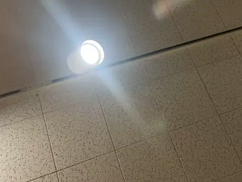 Renee_the_Anal_Slut: вебкам-шоу