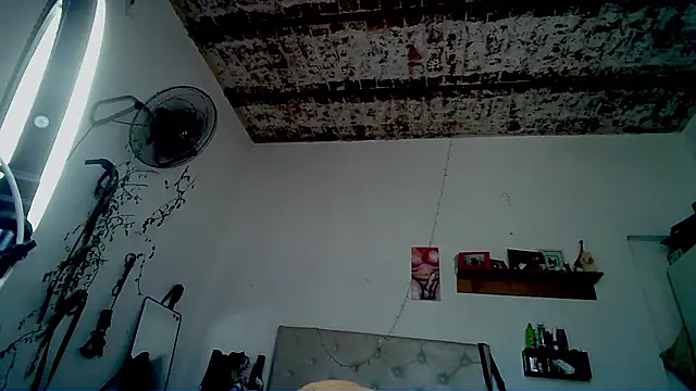 alicetgirlbr Show Webcam