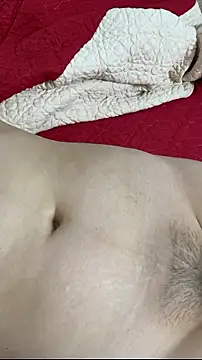 Show webcam de vietAnhzip