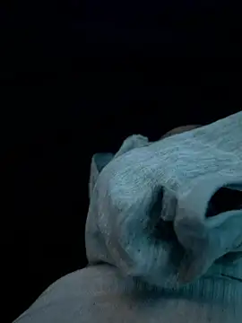 crossroad25 – Kamerová šou