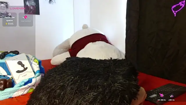 Henry_villa23n Webbikameraesitys