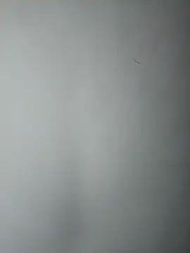 XXX chat uživo modela REAL-BigBoobCat