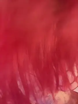 EmmaaCastro 现场XXX聊天