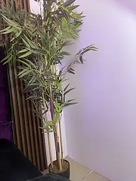 Chat +18 de aurora_ec ao vivo