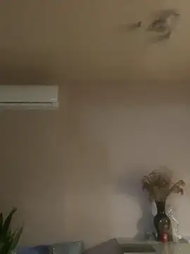 Flossy_Vettie Live XXX-Chat