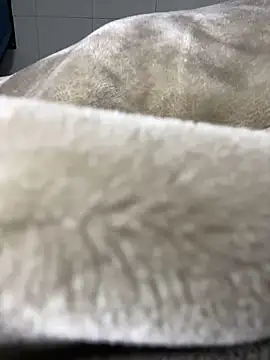 -Bebefin- 网络视讯表演