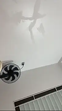 عرض كام vietAnhzip