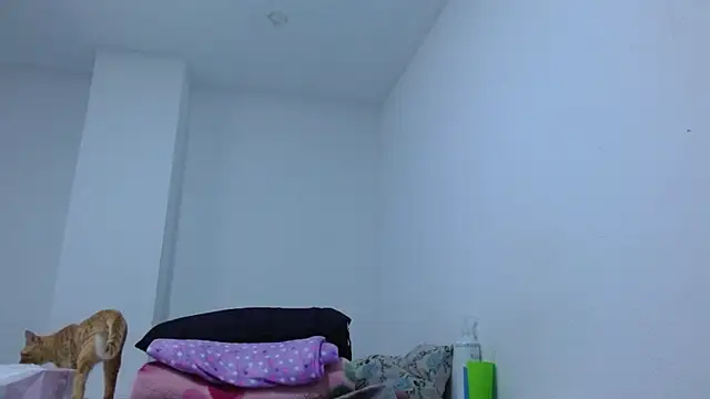 isabel_24_gil: απευθείας συνομιλία ΧΧΧ