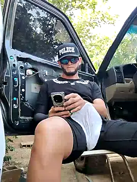 Show de webcam de PIGHIGHDIRTY_p0