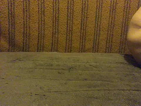 Show webcam de omonaka